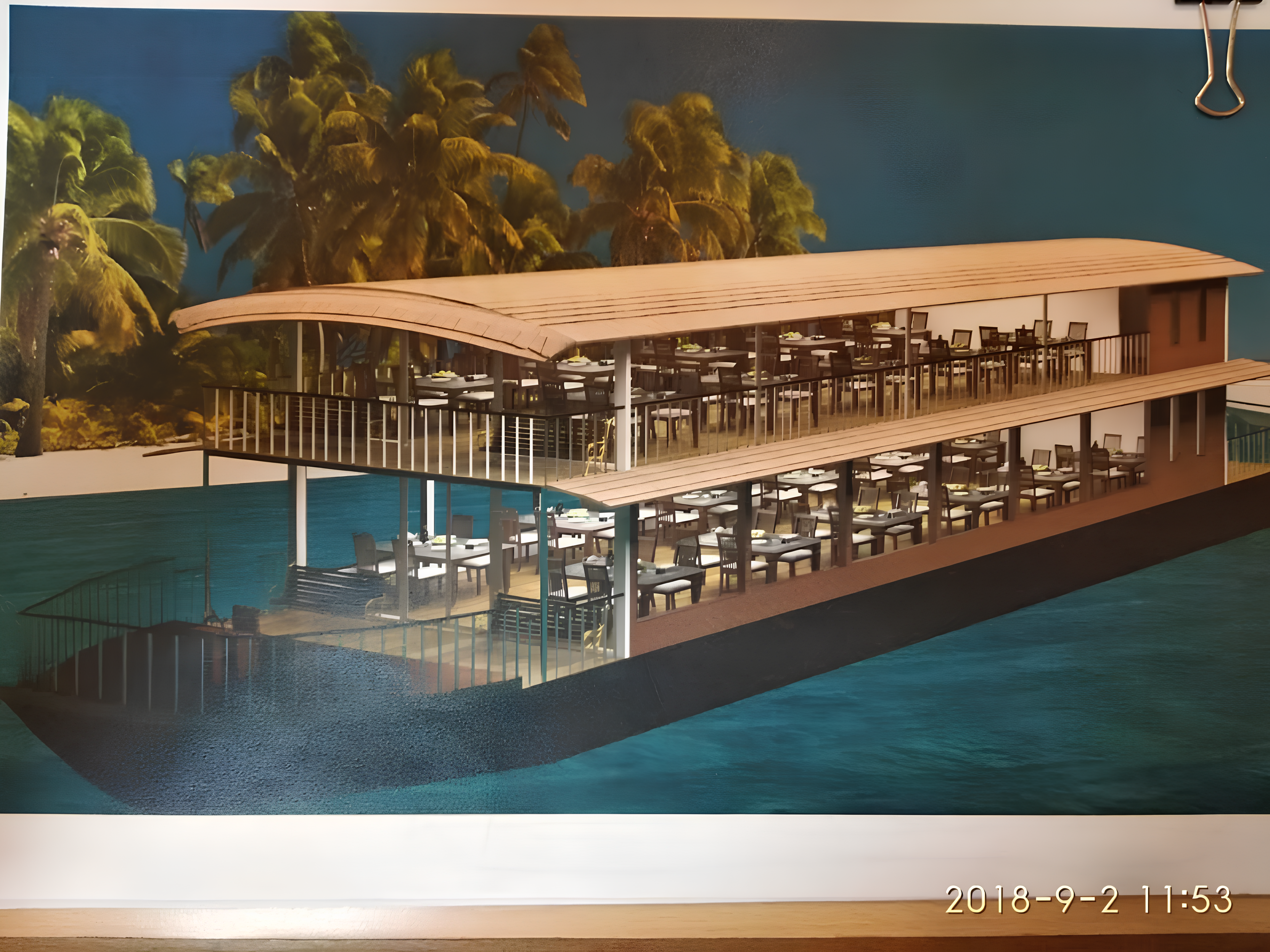 A houseboat deck framed by palms